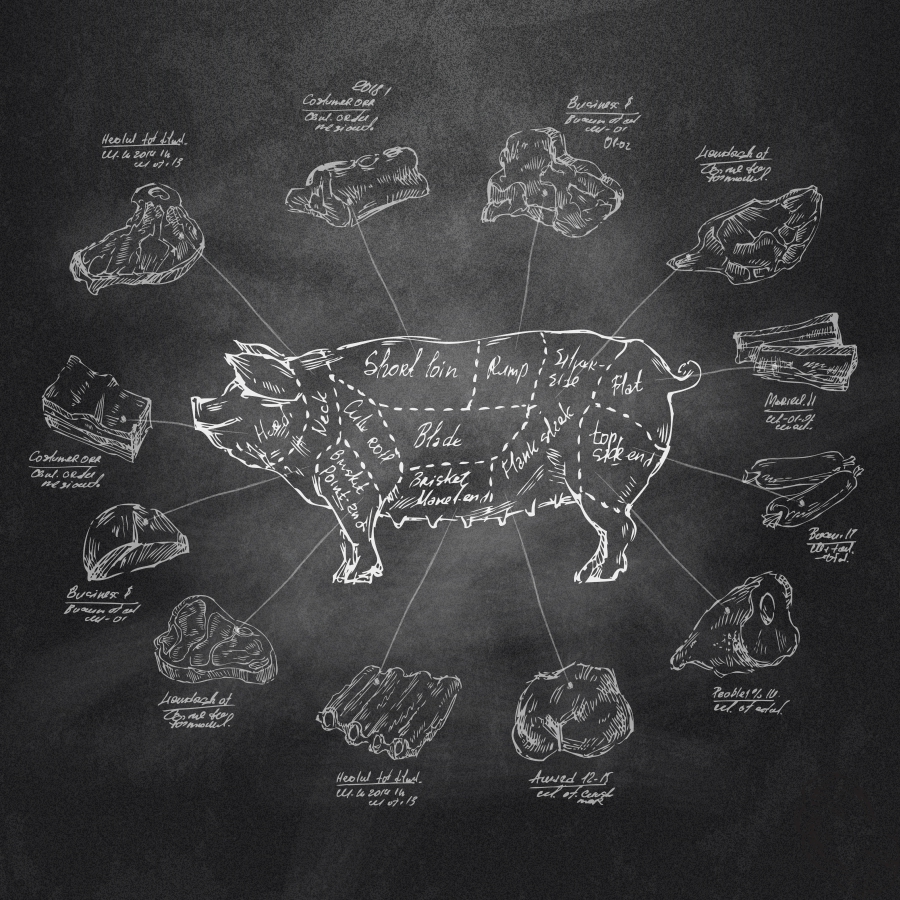 Schweinefleisch - 20 interessante Fakten über Schweine & das Fleisch
