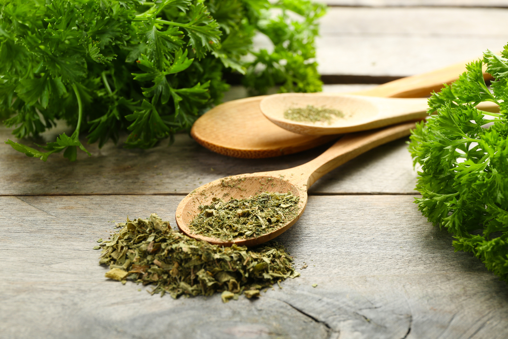 Kerbel das Suppenkraut