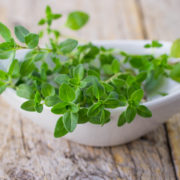 shutterstock_319995689