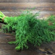 Dill (Anethum graveolens)