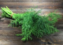 Dill (Anethum graveolens)