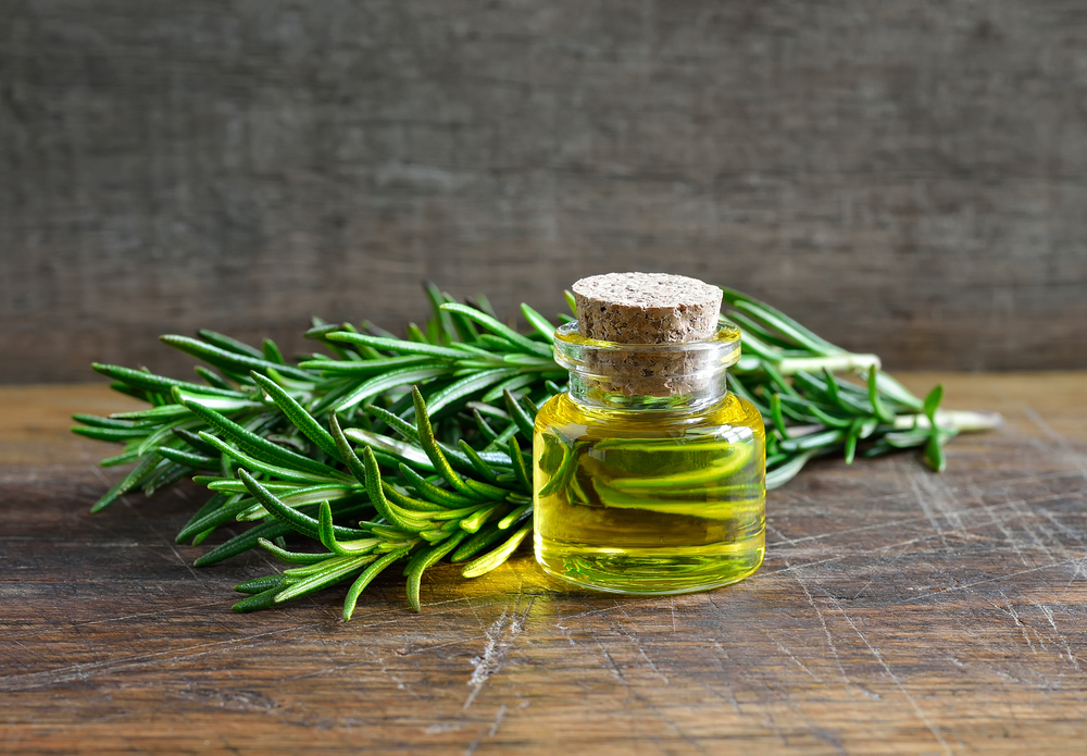 Rosmarin Öl