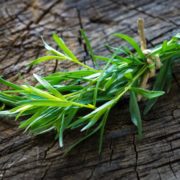 Estragon-01 kleiner Bund Estragon