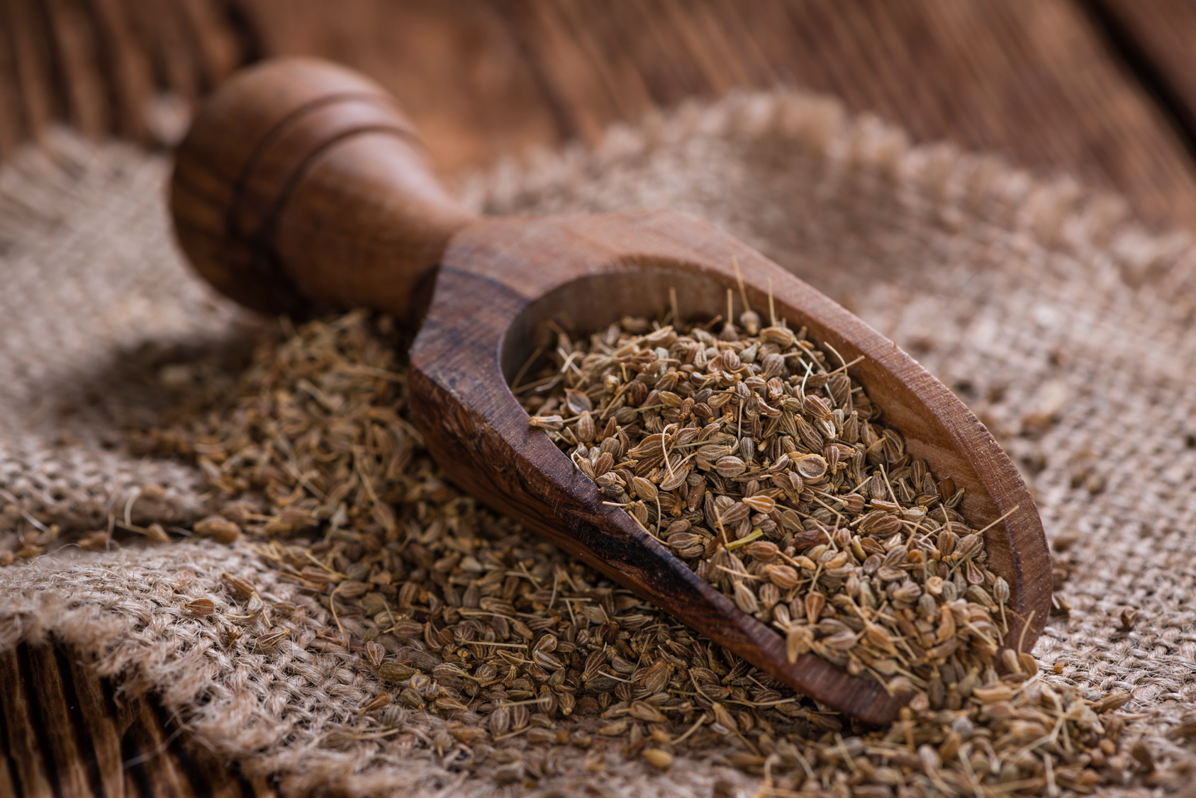 Anis - süßliches Gewürz das nach Fenchel und Kümmel duftet