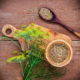 Fenchel