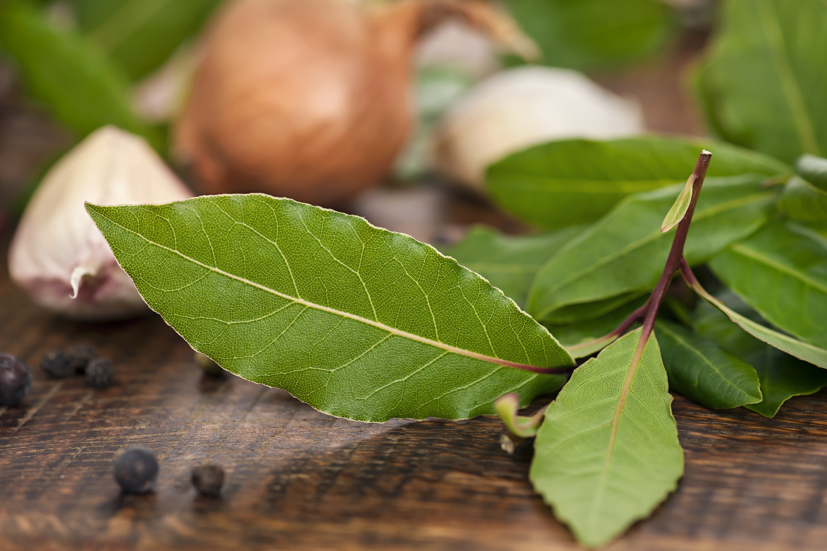 Wissenswertes über Lorbeer – stark aromatisierende Gewürz Blätter