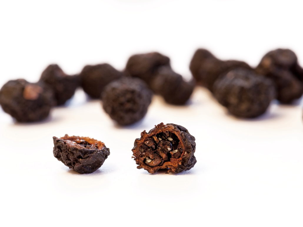 Tasmanischer Pfeffer