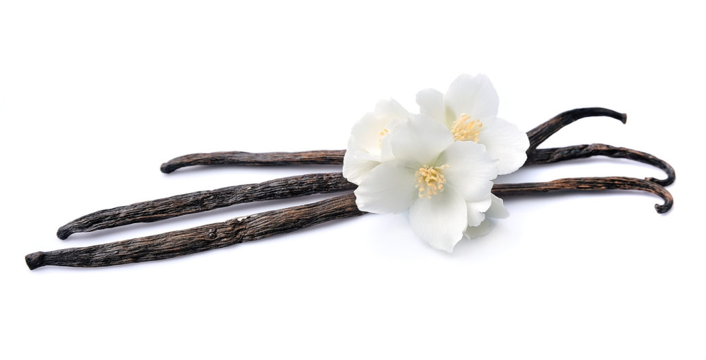 Vanille – Die süß aromatischen Samen und Schoten