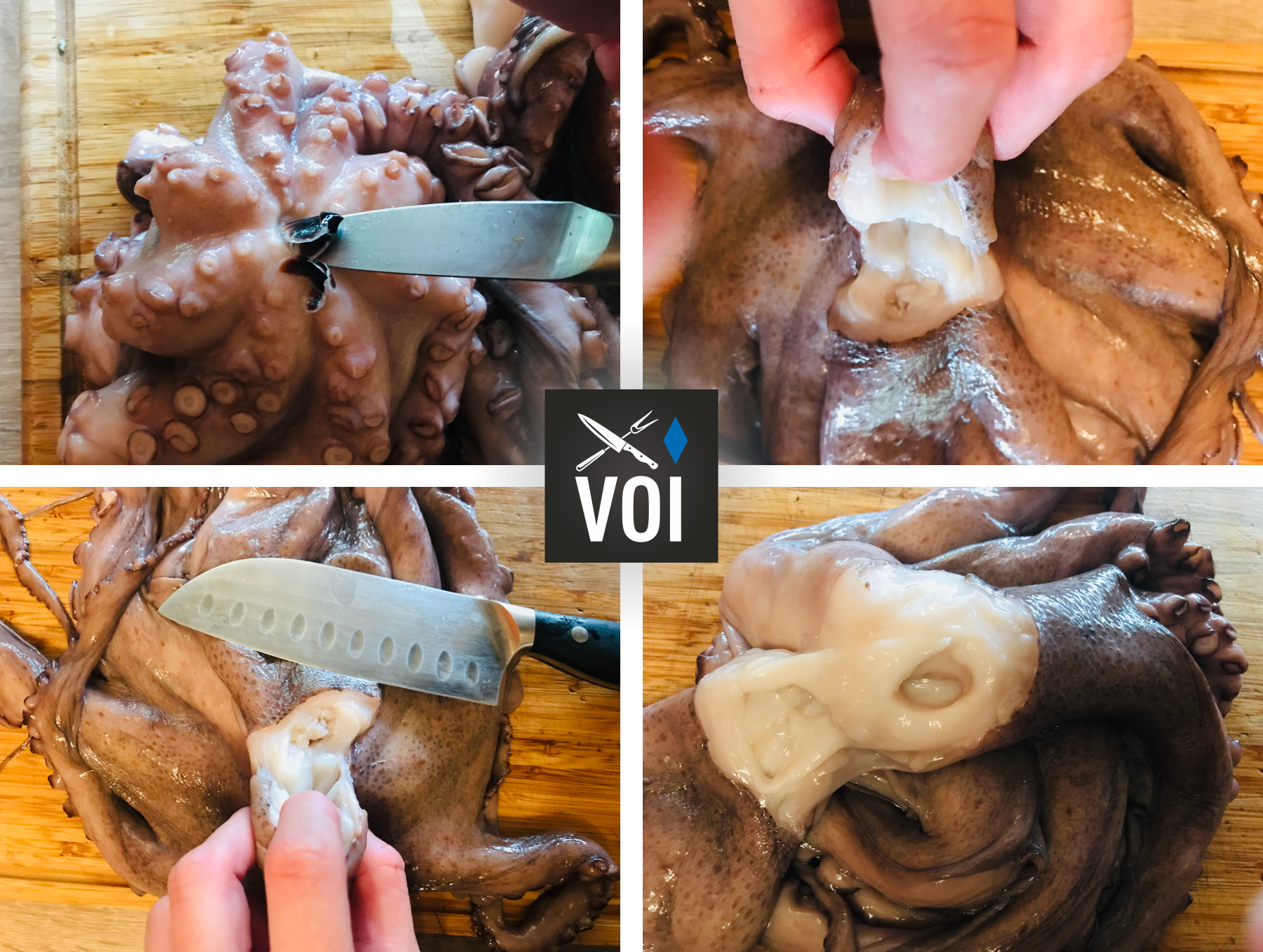 Oktopus Putzanleitung