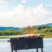 Grillen-Natur